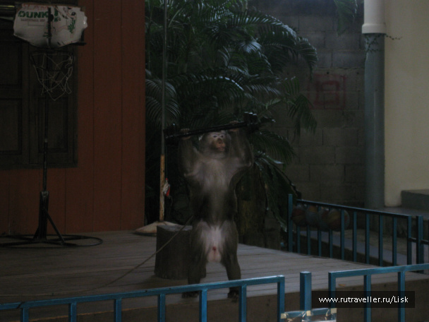 photo 79852