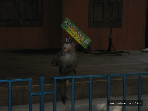 photo 79853