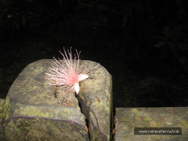 photo 79869