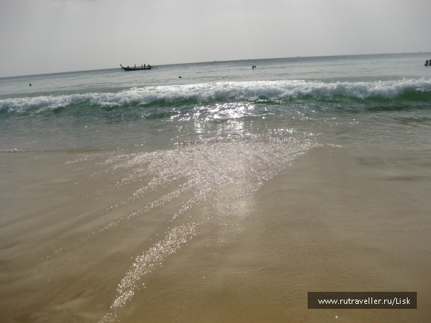 photo 79895