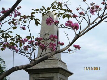 photo 217408