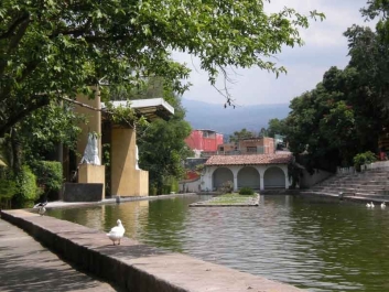 photo 217420