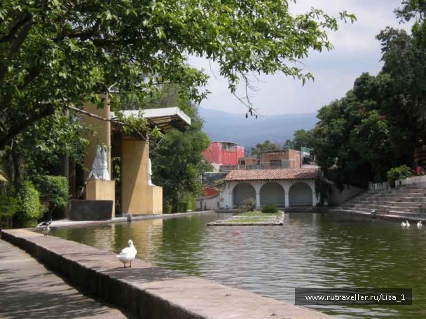 photo 217420