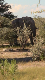 photo 215312