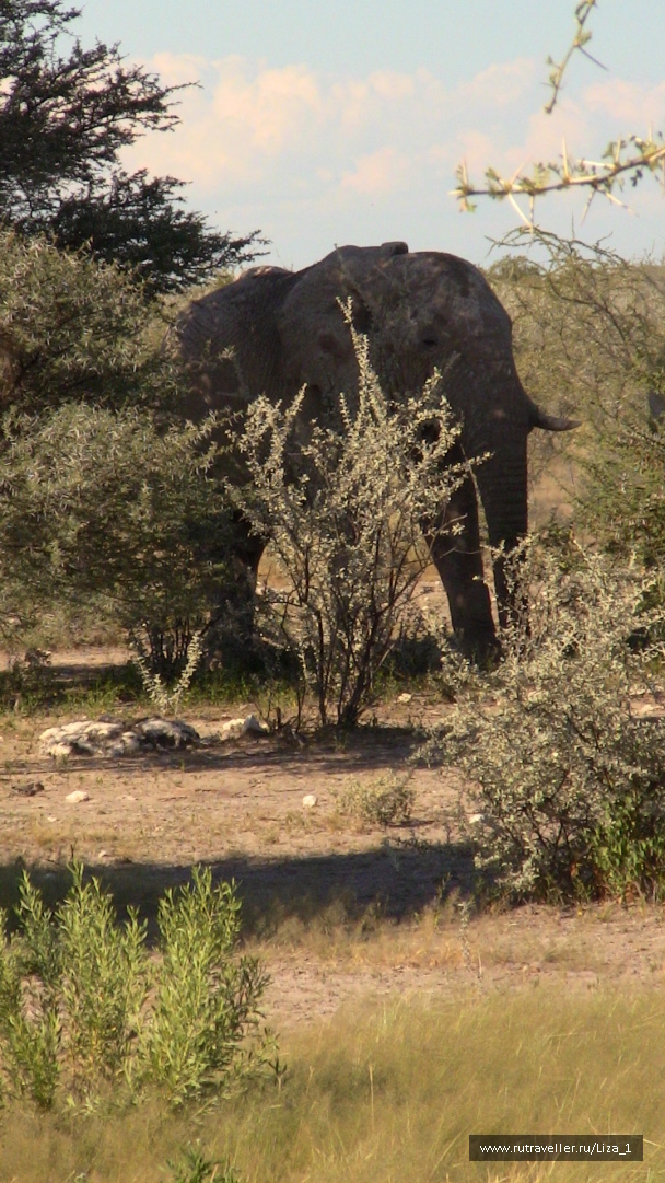 photo 215312