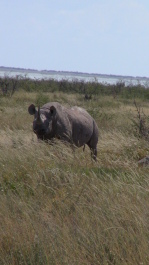 photo 215316