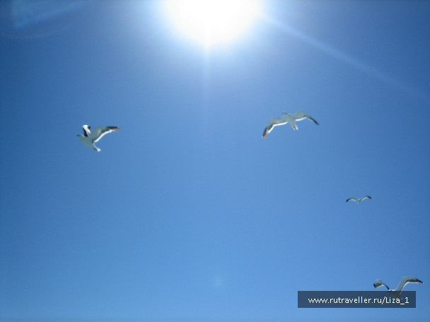 photo 215539
