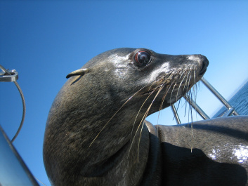 photo 215544