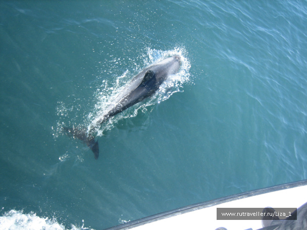 photo 215545