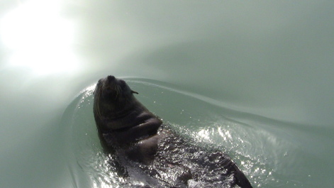 photo 215552