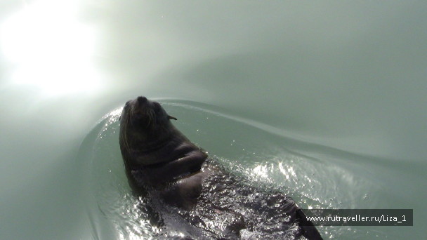 photo 215552