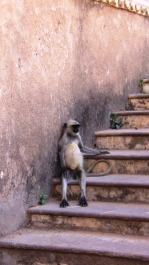 photo 215623