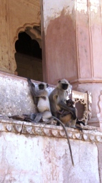 photo 215624