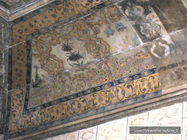 photo 216498