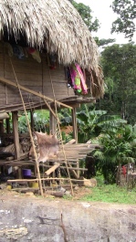 photo 215641