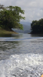 photo 215651