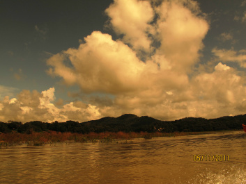 photo 215665