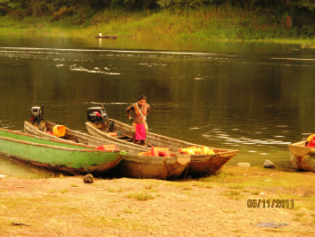 photo 215669