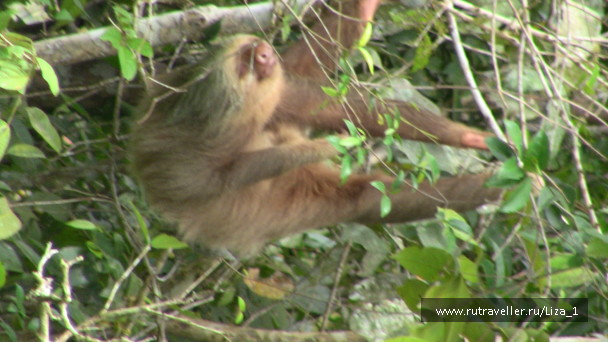 photo 215848