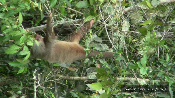 photo 215849