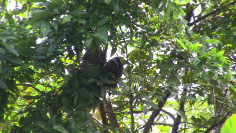photo 215852