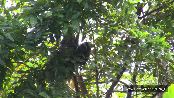 photo 215852