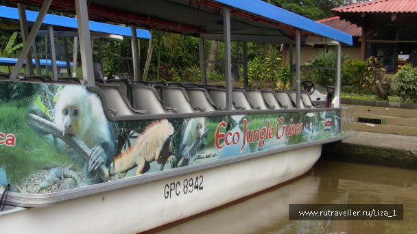 photo 215855