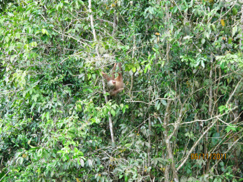 photo 215863