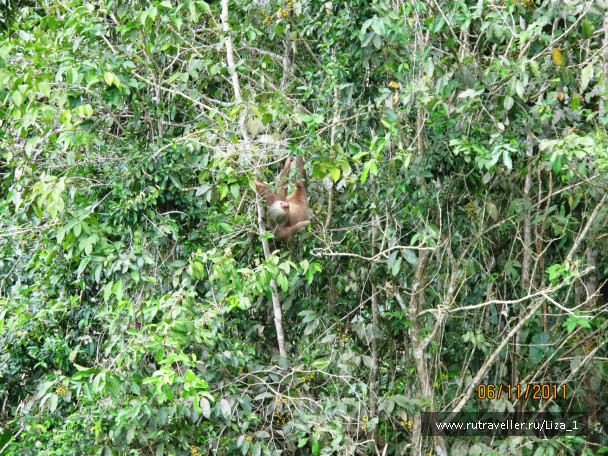 photo 215863