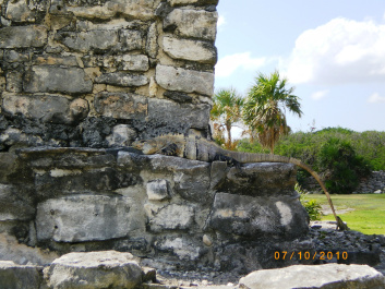 photo 217399