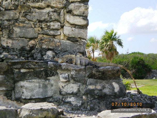 photo 217399