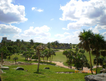 photo 217404