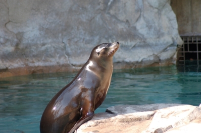 photo 260020