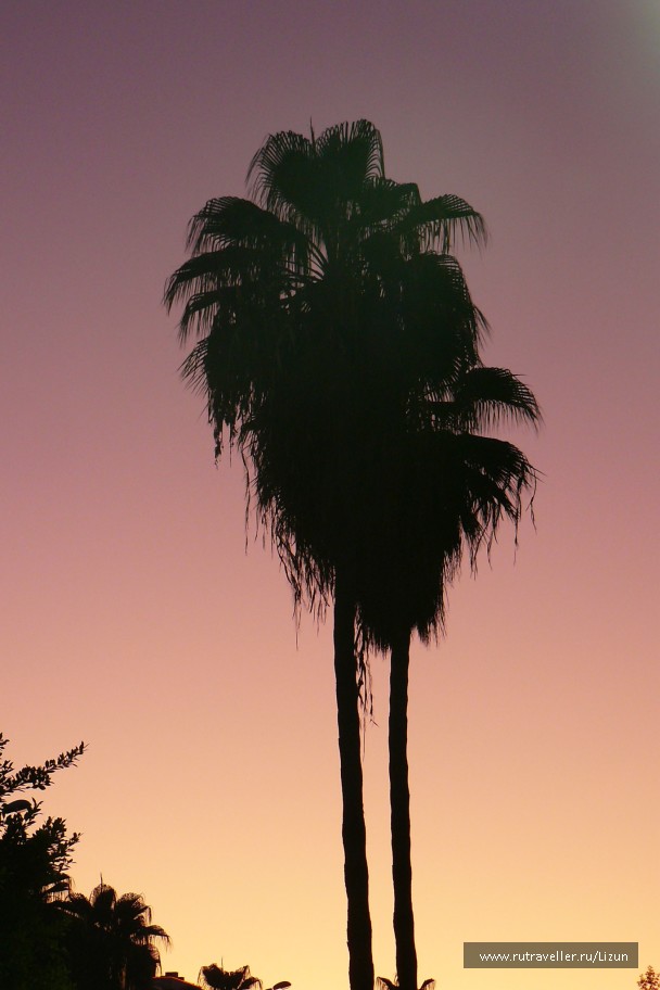 photo 330360