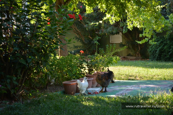 photo 578291