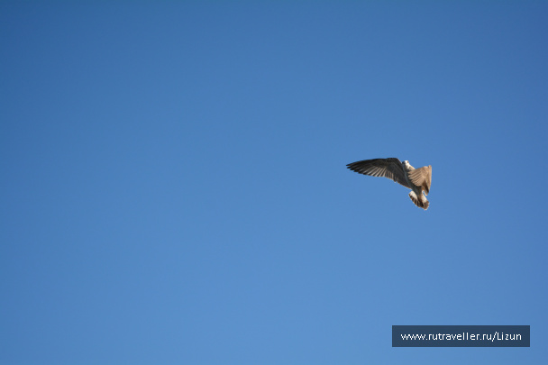 photo 536943