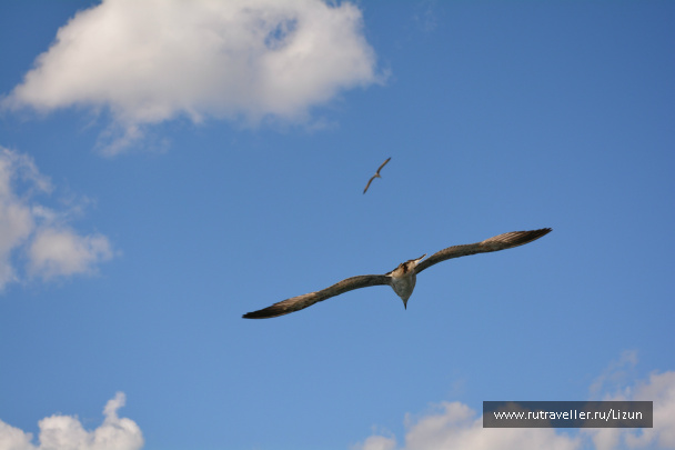 photo 536949