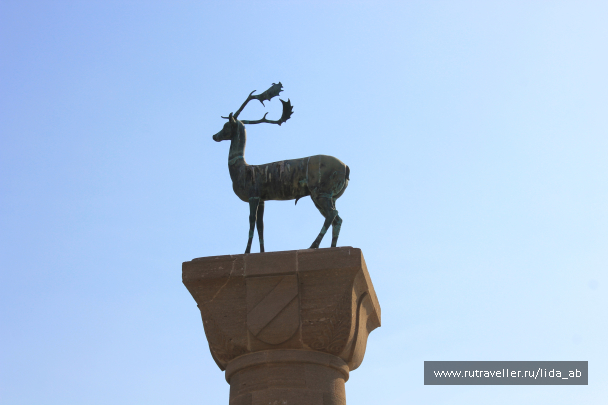 photo 1083495