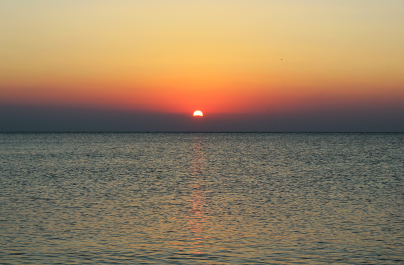 photo 1142241