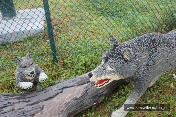 photo 1084195