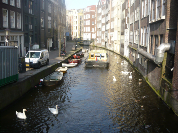 photo 1085396