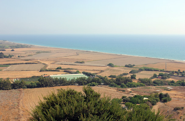 photo 1887175