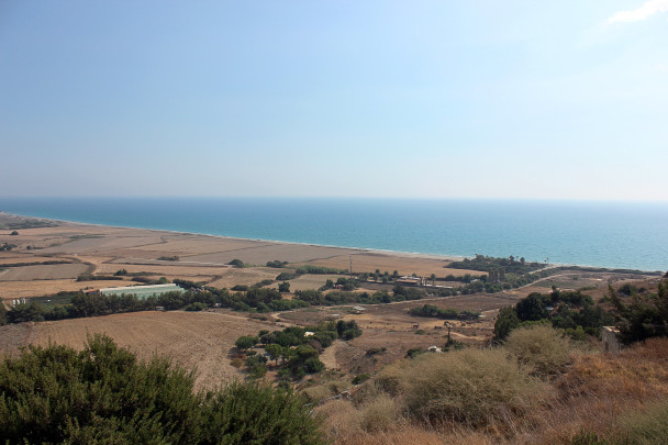photo 1887176