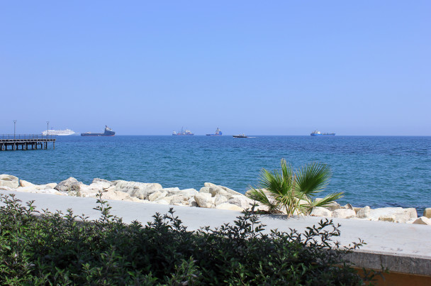 photo 1887178