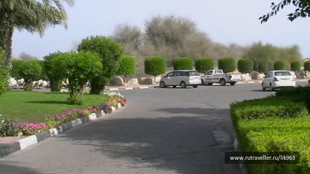 photo 590522