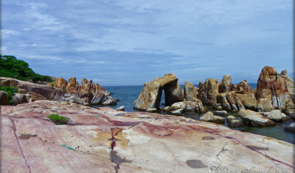 IMGP9769