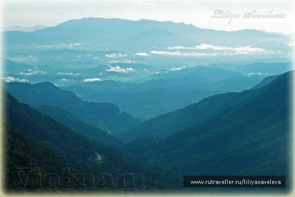 photo 447771