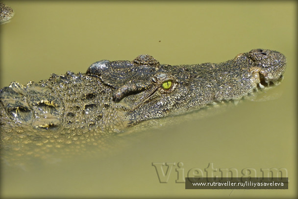 photo 447772
