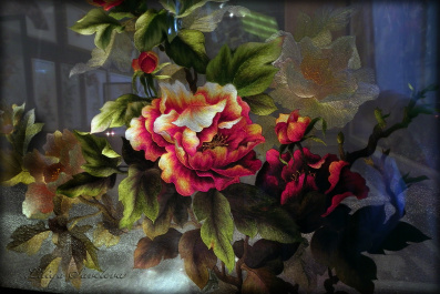 photo 560256