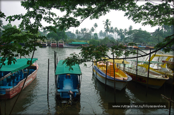 photo 1035681